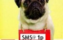 Now SMS at One Paisa With Vodafone