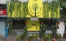 IDEA Cellular Paints Mumbai Green!
