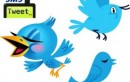 SMSTweetin Tweet Using SMS