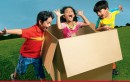 Bharti Airtel Launches Unlimited Free Callings on Sunday for Fixed Line