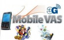 Indian Telecom VAS: A Small Talk