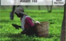 S Tel GSM Mobile Services Launched in Assam