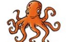 Ask Paul The Psychic Octopus Now Available In SMS,Facebook & Twitter