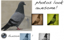 Photosharing App Kabutar Thinks Differently About Your Photos