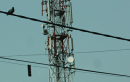 Bharti Infratel to use IPO Proceeds For Towers