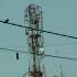 Roaming charges to fall from July 1, 2013