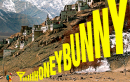 Can “Honey Bunny” be the next Kolaveri for Idea cellular?