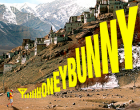 Can “Honey Bunny” be the next Kolaveri for Idea cellular?