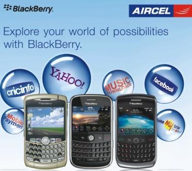 Blackberry POPs-Poster
