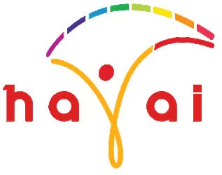 Mathew Carley Talks On Hayai Broadband