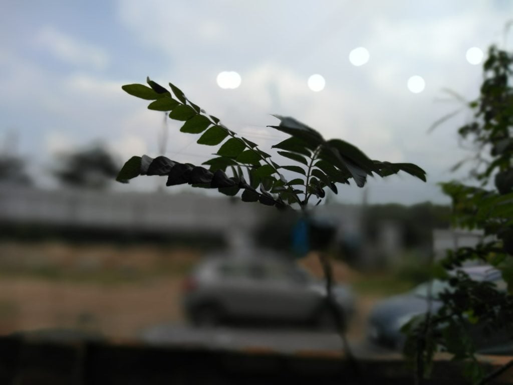 tenor-g-camera-samples-2