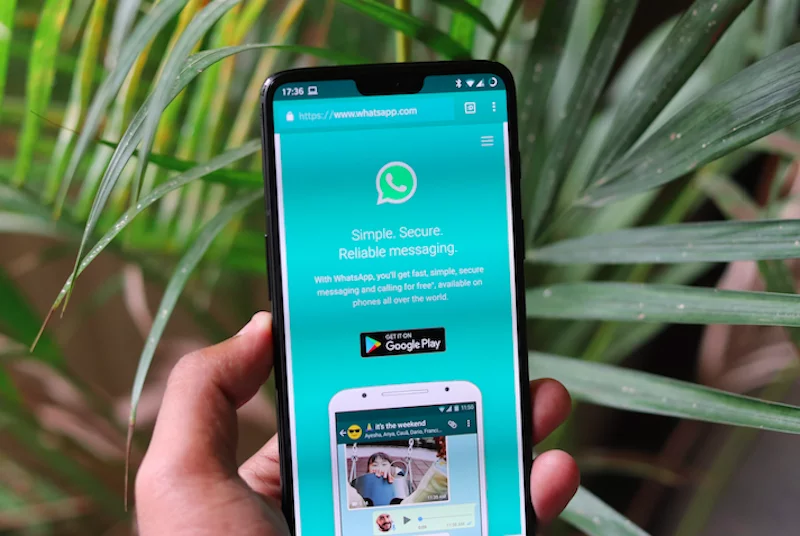 whatsapp-government-illegal-activities