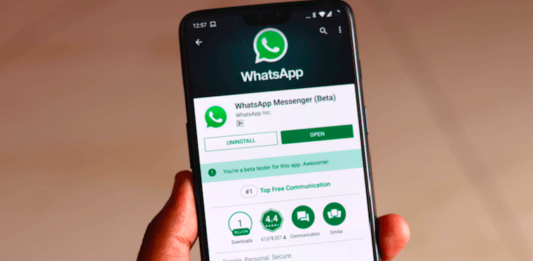 WhatsApp Web Bug