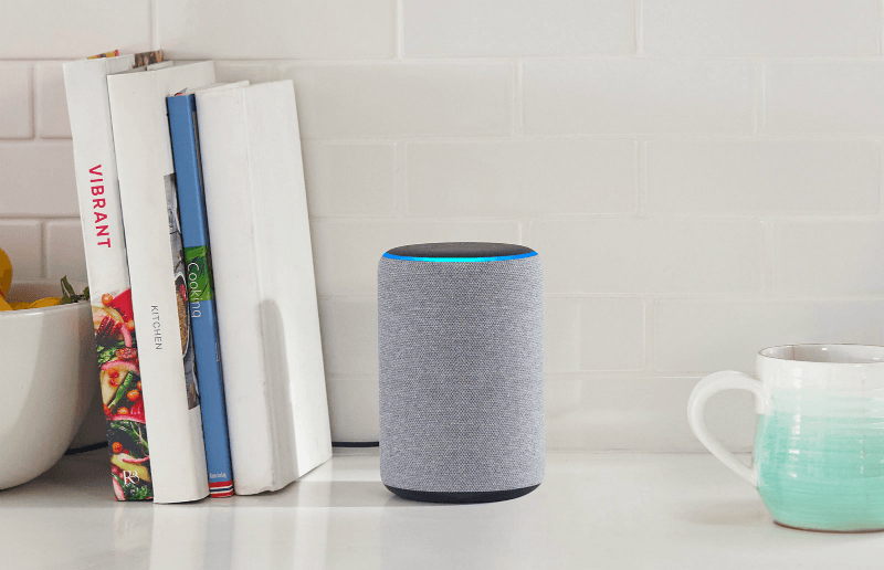 Amazon Echo Led Indian Smart Speaker Market With 59  Share in 2018  IDC - 41