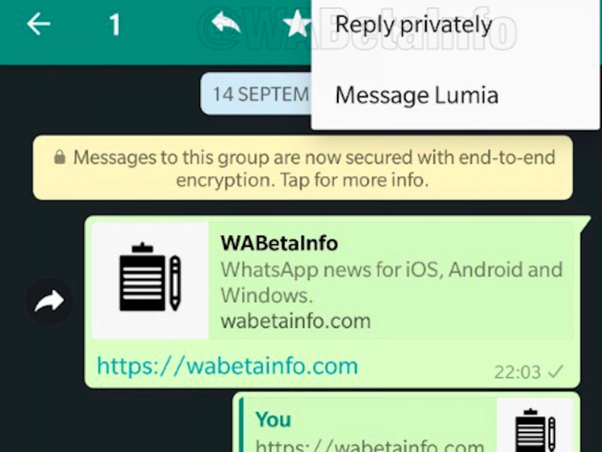 Message Privately  WhatsApp Features