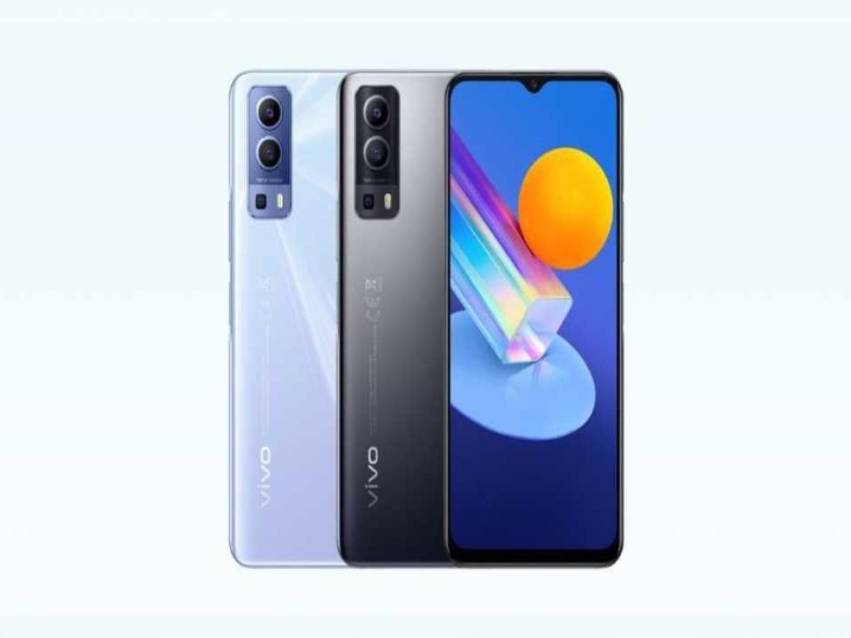 vivo 2022 rate