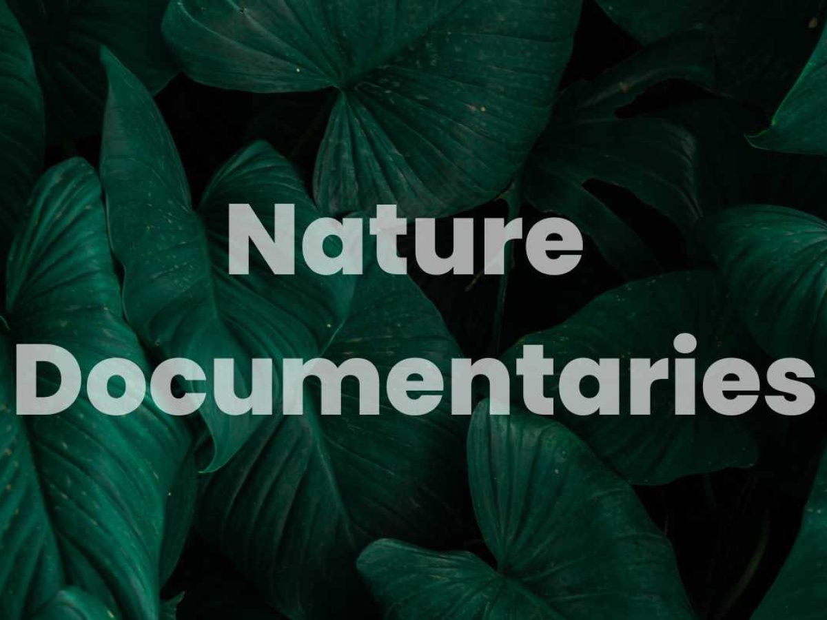 Best Nature Documentaries on OTT for a Moving Experience