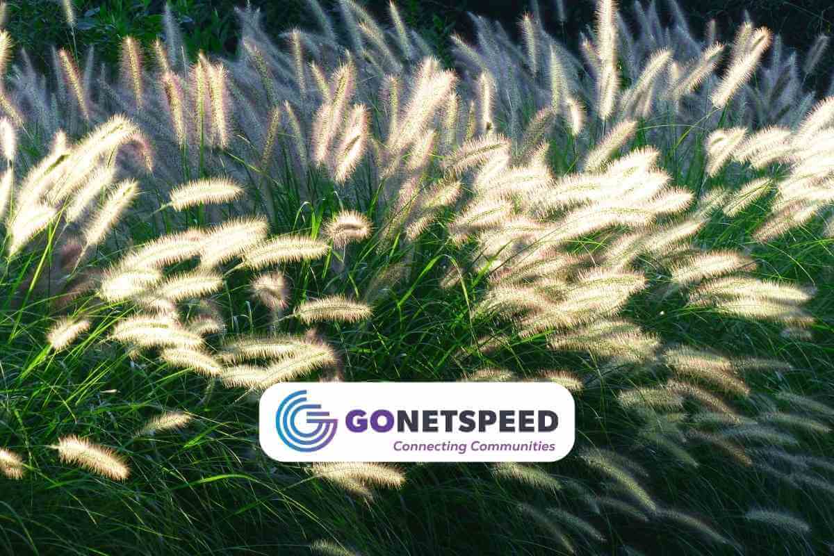 GoNetspeed Commences USD 2.1 Million Fiber Internet Expansion to Rockland, Maine
