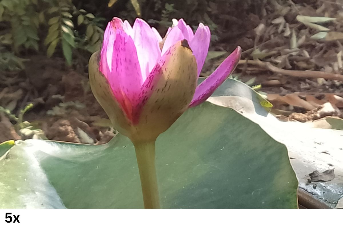 moto g04 review really surprised me (1)