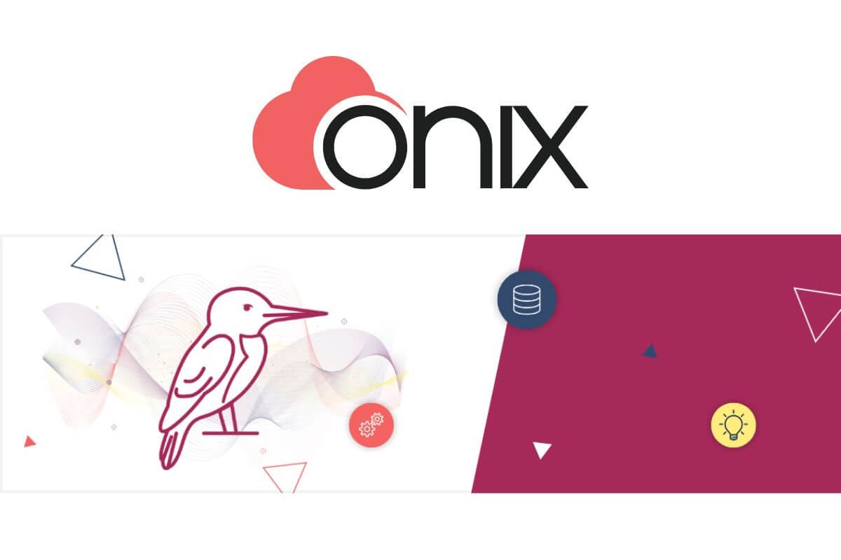 Onix Unveils Two AI-Powered Solutions to Tackle Data Challenges