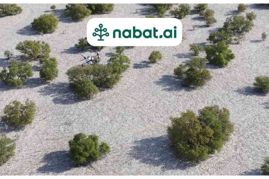 UAE’s Nabat Uses AI and Robotics to Restore Mangroves and Ecosystems