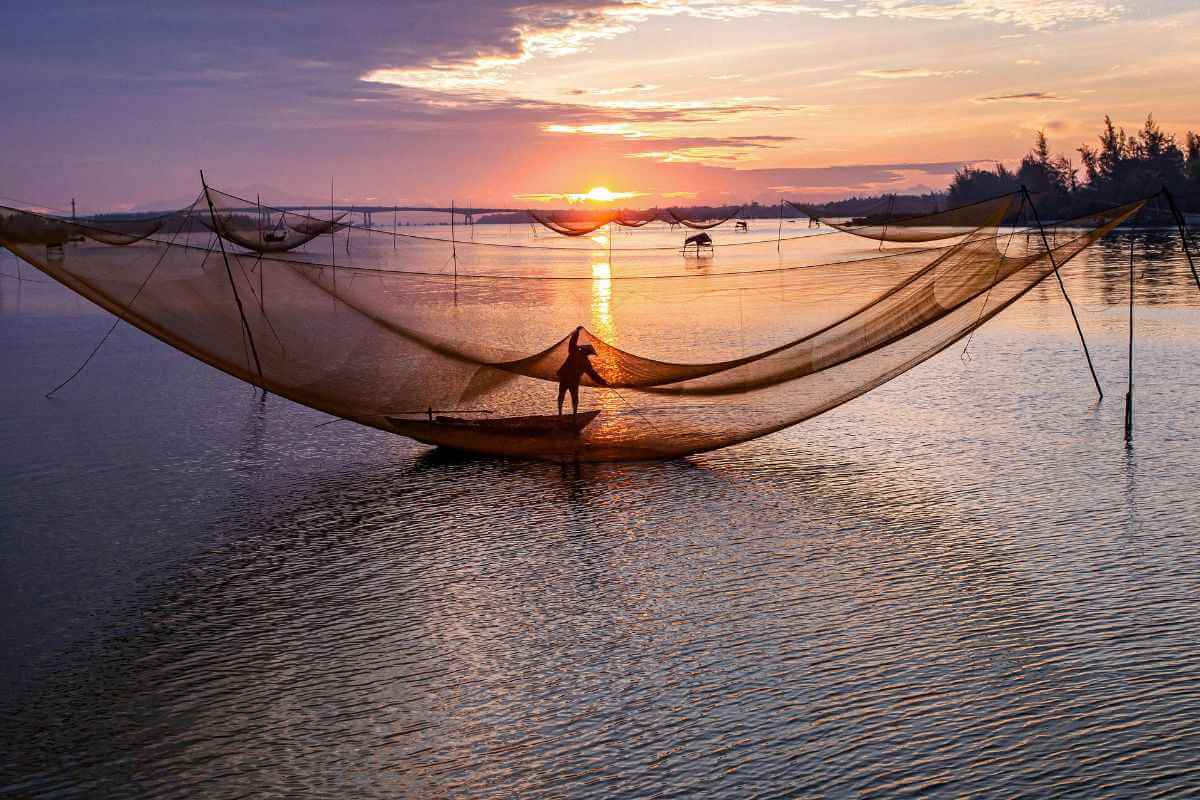 Government Invests Rs 39,272 Crore Since 2015 to Transform Fisheries Sector