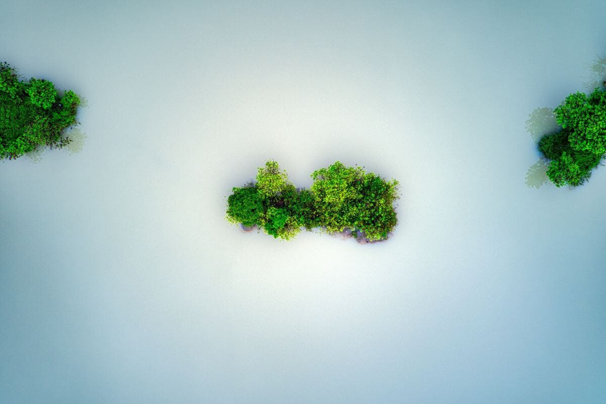 India’s Green Hydrogen Capacity Likely to Reach 5 MMT Annually by 2030