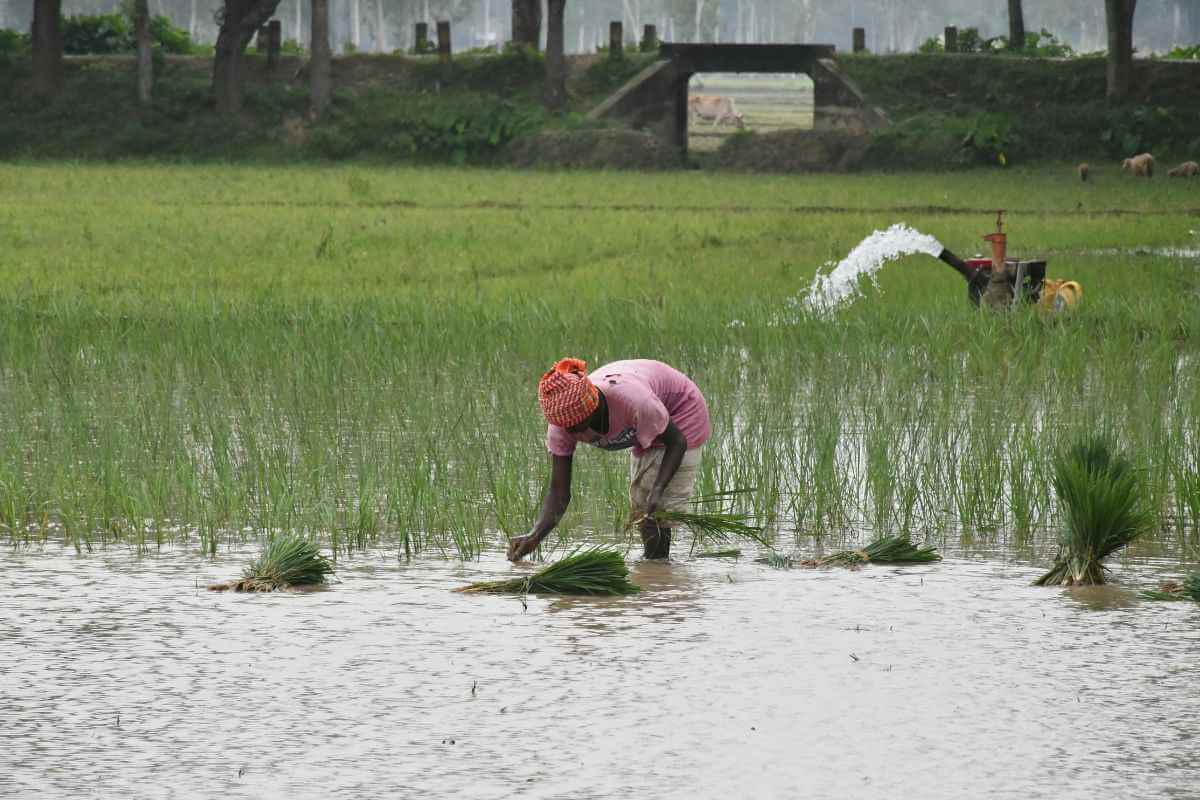 PM-KISAN Scheme Disburses Rs 4.27 Lakh Crore; AI Chatbot Enhances Outreach as Farmers Benefit