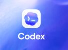 openai says codex usage in india has