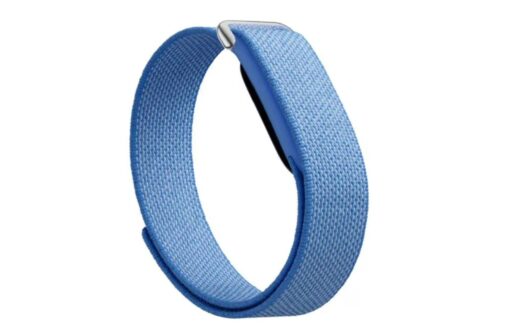 Google Fitbit Air Spotted on BIS: India Launch Could Be Near
