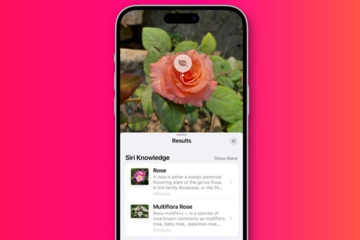 siri to identify objects with camera app