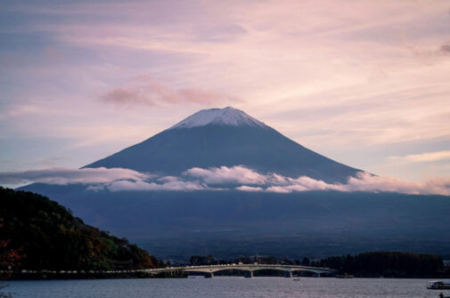 Japan Remains India’s Fifth-Largest Source of FDI: Union Minister of Commerce and Industry