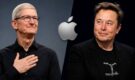 Tim Cook Thanks Apple Community, Elon Musk Comments